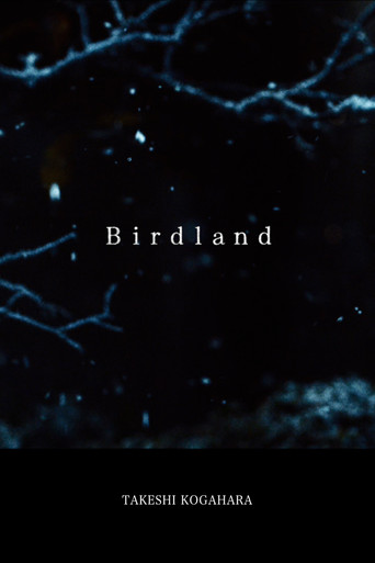 Birdland poster