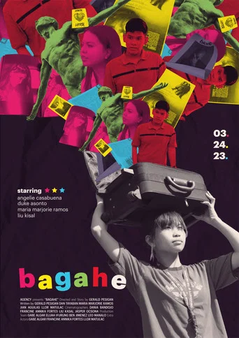 Movie poster for Baggage (2023)