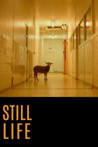 Movie poster for Still Life (2016)
