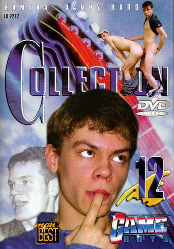 Movie poster for Game Boys Collection 12