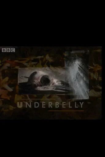 Series poster for Underbelly (1992)