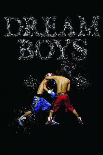 Movie poster for DREAM BOYS (2008)