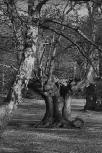 Movie poster for Burnham Beeches (1909)