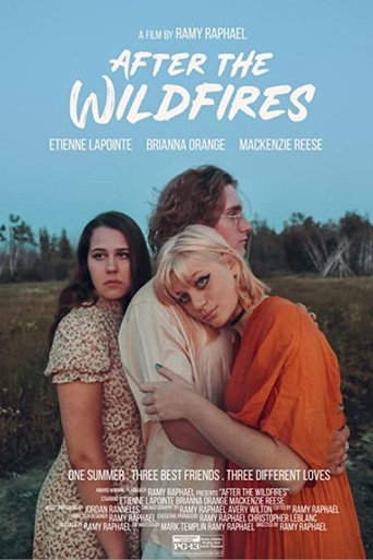 Movie poster for After the Wildfires