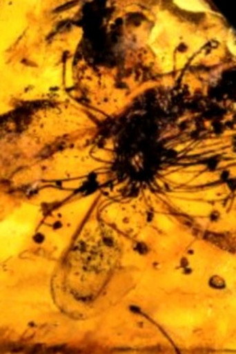 Movie poster for Untitled #9: Nor All Flowers of Foul (2024)
