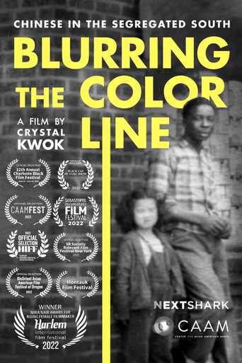 Blurring the Color Line: Chinese in the Segregated South poster