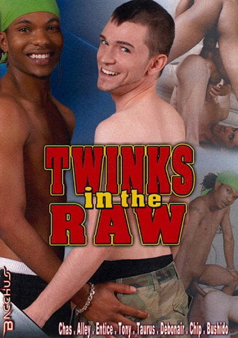 Movie poster for Twinks in the Raw (2013)