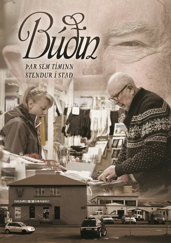 Movie poster for The General Store (2013)