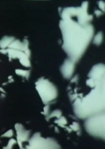 Movie poster for Maïm (1972)