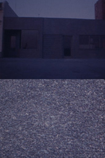 Movie poster for Michael Brod's Whoever — In Transit (1974)