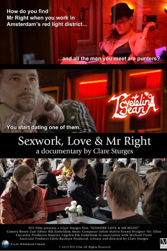Movie poster for Sexwork, Love & Mr Right (2013)