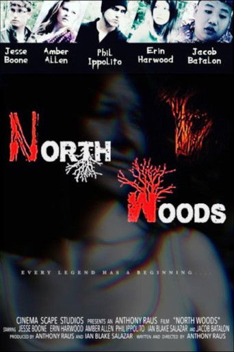 North Woods poster