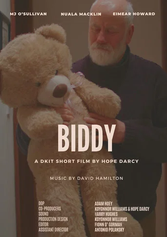 Movie poster for Biddy