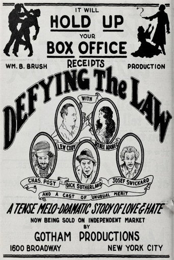 Defying the Law poster