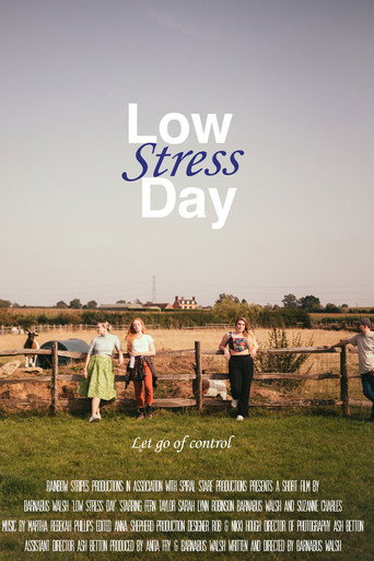 Movie poster for Low Stress Day (2024)