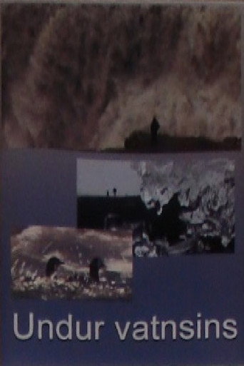 Movie poster for Wonders of Water (2009)
