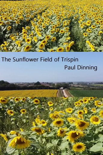 Movie poster for The Sunflower Field of Trispen (2020)