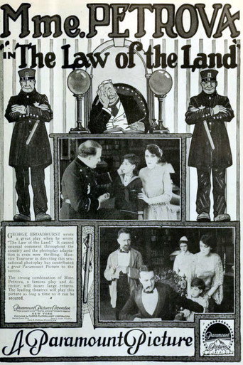 Movie poster for Law of the Land (1917)
