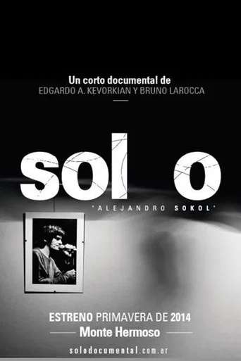 Movie poster for Solo (2014)