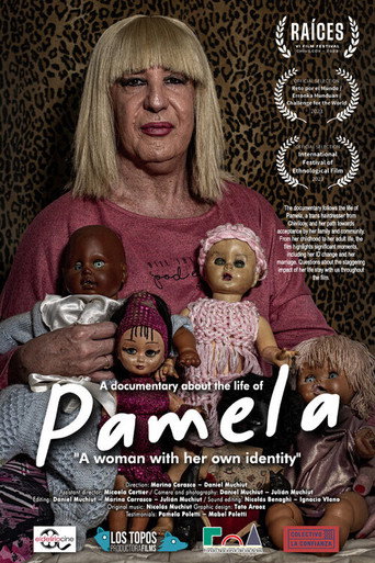 Movie poster for Pamela (2023)