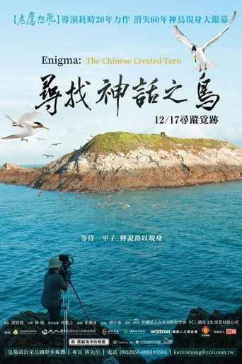 Movie poster for Enigma: The Chinese Crested Tern (2021)