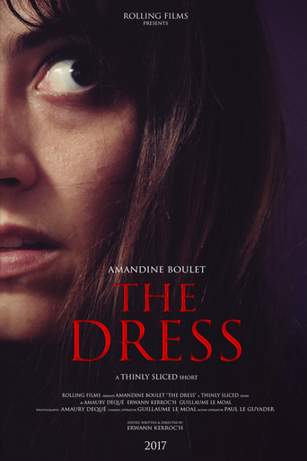 Movie poster for The Dress (2017)
