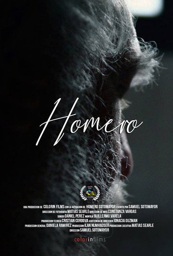 Movie poster for Homero (2018)
