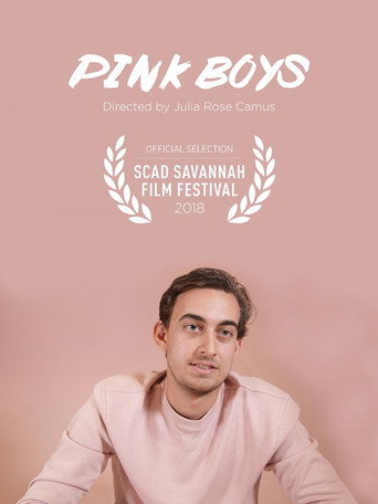 Pink Boys poster