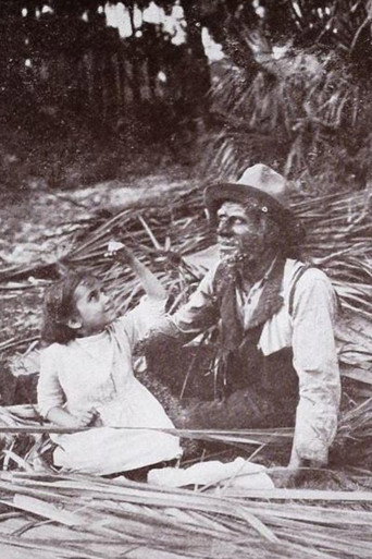 Movie poster for The Message of the Palms (1913)