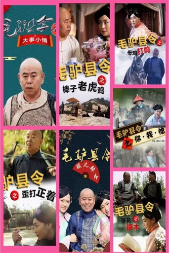 毛驴县令 第一季 poster