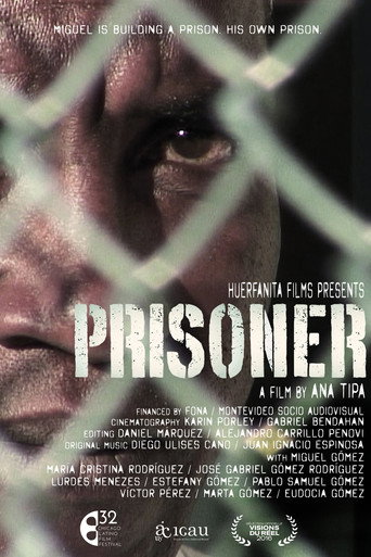 Movie poster for Prisoner (2017)