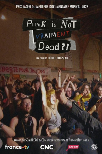 Movie poster for Punk is not vraiment dead ?! (2023)