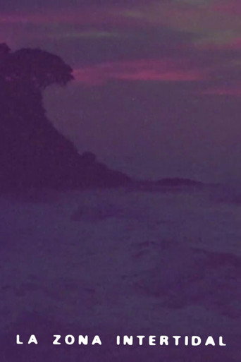 Movie poster for Intertidal Zone (1980)