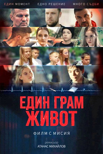 Movie poster for One Gram of Life (2025)