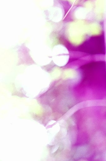 Movie poster for gestures toward Plant Vision (2021)