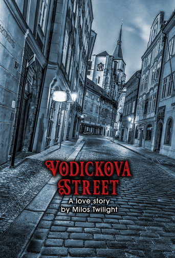 Movie poster for Vodickova Street (2007)