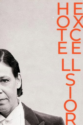 Movie poster for Hotel Excelsior (2026)