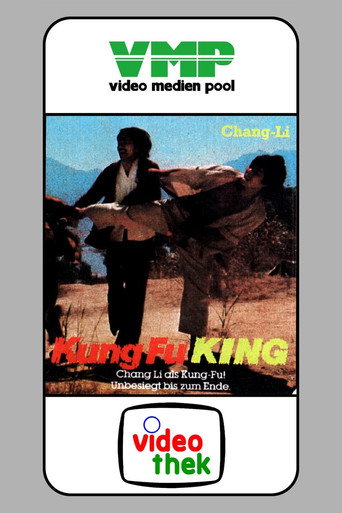 Movie poster for Kung Fu King (1973)