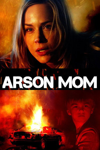 Movie poster for Sole Custody (2014)