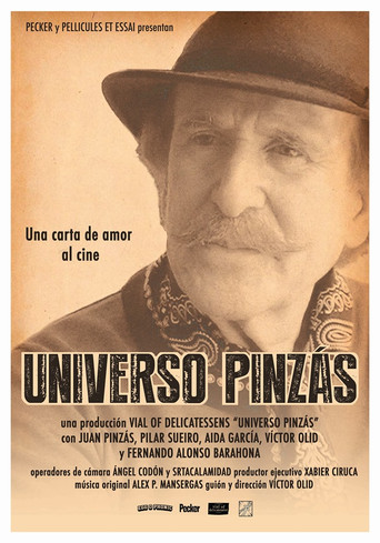 Movie poster for Pinzás Universe (2019)