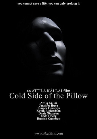 Movie poster for Cold Side of the Pillow (2017)