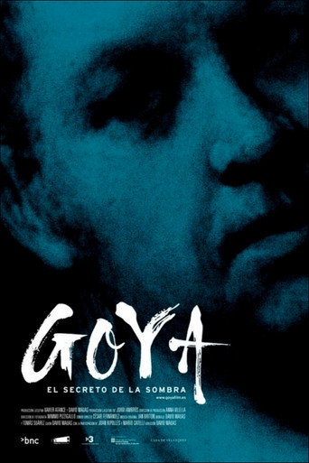 Movie poster for Goya: The Secret of the Shadows (2011)