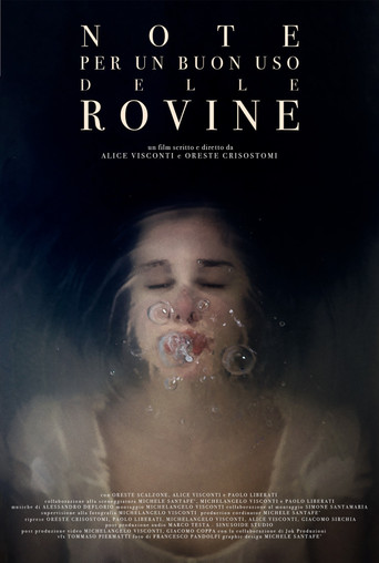 Movie poster for Notes For a Good Use of the Ruins (2024)