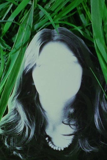 Movie poster for The Life Story Of Bruno S. Retrieved From A Drawer (1979)