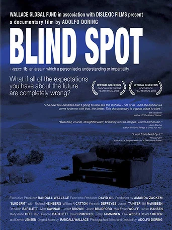 Movie poster for Blind Spot (2008)