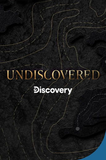 Undiscovered poster
