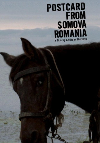 Movie poster for Postcard from Somova, Romania (2012)