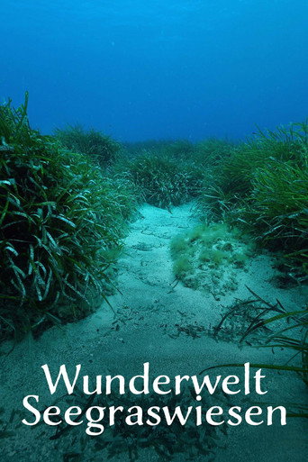 Movie poster for Wunderwelt Seegraswiesen Klimaretter, Kinderstube, Küstenschutz (2024)