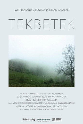 Movie poster for Tekbetek (2014)