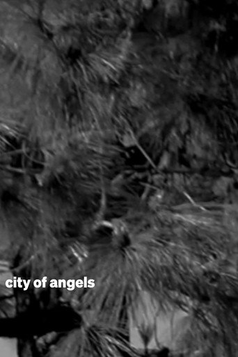 Movie poster for city of angels (2025)